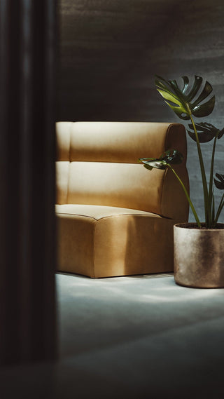 modern chair and plant