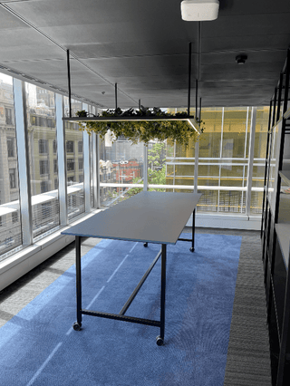 Meeting room with plants, captured Jan 7, 2023